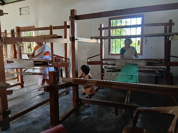 Handloom Weaver (Frame Loom) training at IIE Incubation Centre, Kakopothar, batch 29253, 12-06-2025