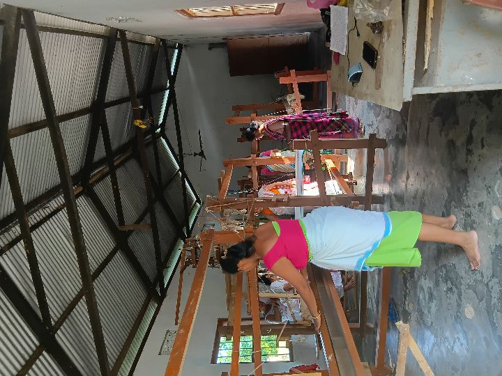 Handloom Weaver (Frame Loom) training at IIE Incubation Centre, Kakopothar, batch 29253, 14-06-2025