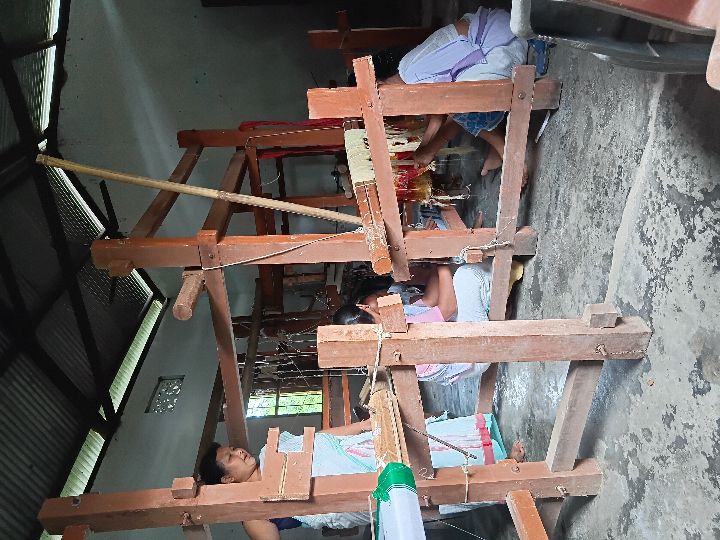 Handloom Weaver (Frame Loom) training at IIE Incubation Centre, Kakopothar, batch 29253, 18-06-2025