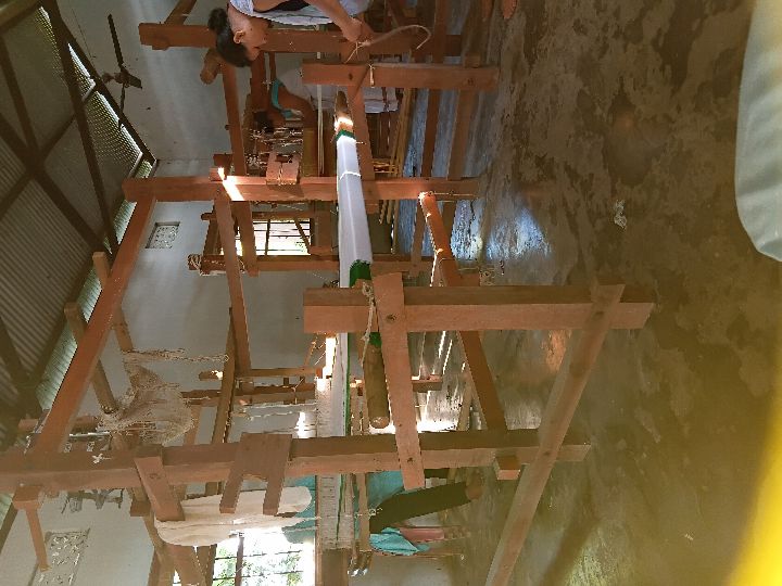 Handloom Weaver (Frame Loom) training at IIE Incubation Centre, Kakopothar, batch 29253, 28-06-2025