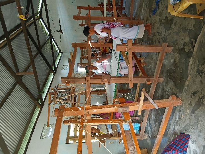 Handloom Weaver (Frame Loom) training at IIE Incubation Centre, Kakopothar, batch 29253, 30-06-2025