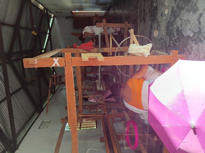 Handloom Weaver (Frame Loom) training at IIE Incubation Centre, Kakopothar, batch 29253, 09-07-2025