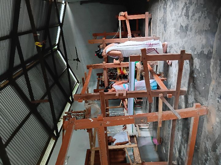 Handloom Weaver (Frame Loom) training at IIE Incubation Centre, Kakopothar, batch 29253, 17-07-2025