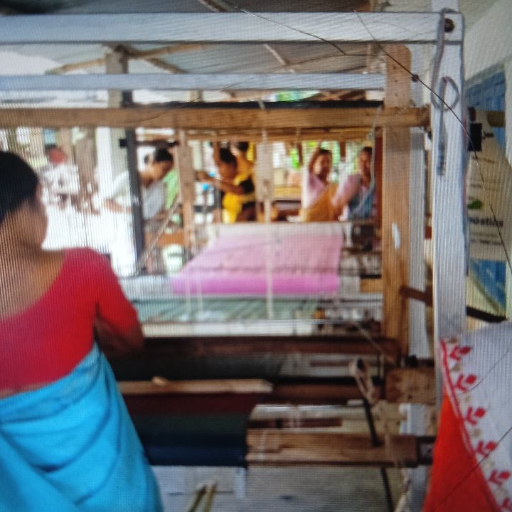 Handloom Weaver (Frame Loom) training at IIE Incubation Centre, Kakopothar, batch 35854, 14-11-2025