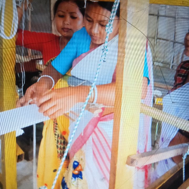 Handloom Weaver (Frame Loom) training at IIE Incubation Centre, Kakopothar, batch 35854, 19-11-2025