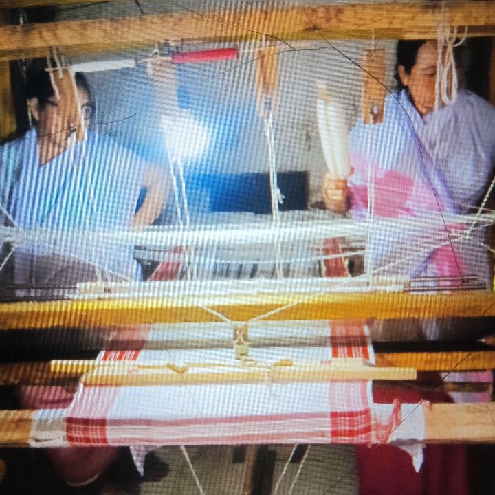 Handloom Weaver (Frame Loom) training at IIE Incubation Centre, Kakopothar, batch 35854, 20-11-2025