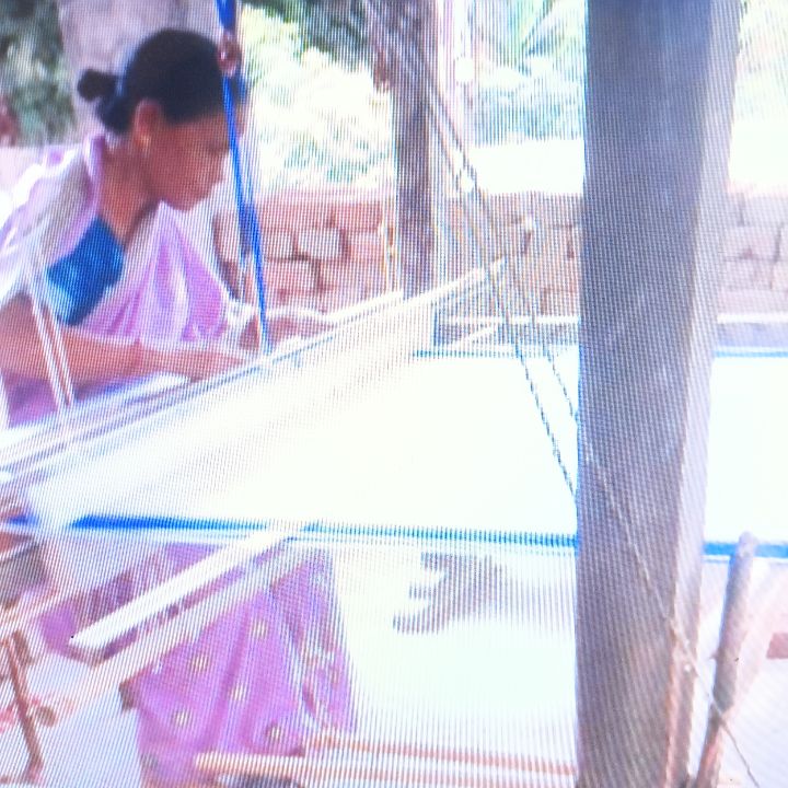 Handloom Weaver (Frame Loom) training at IIE Incubation Centre, Kakopothar, batch 35855, 07-11-2025