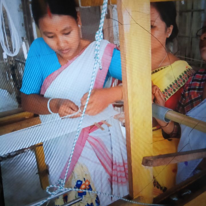 Handloom Weaver (Frame Loom) training at IIE Incubation Centre, Kakopothar, batch 35855, 12-11-2025