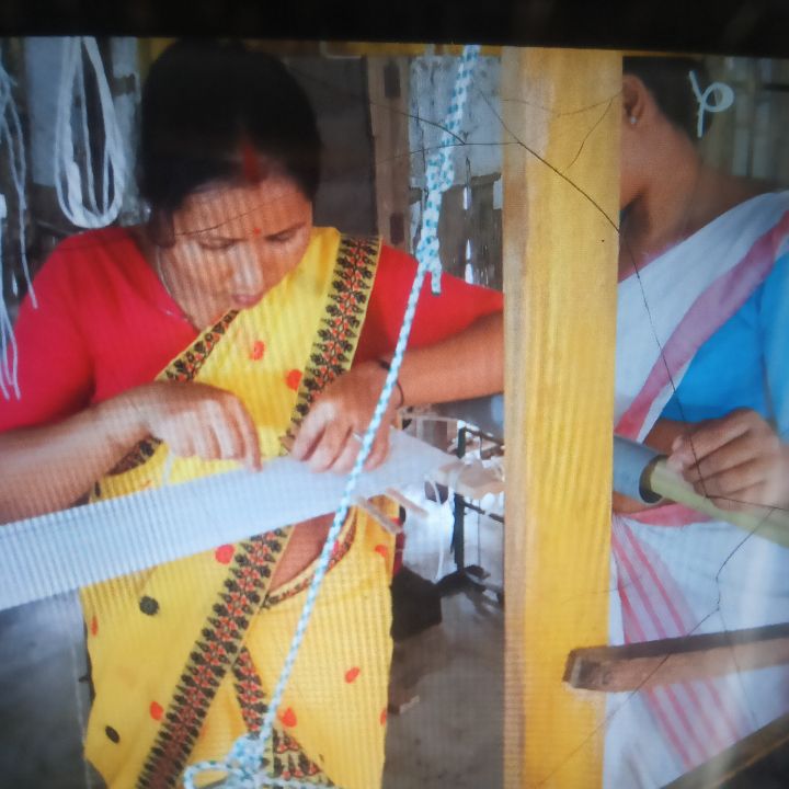 Handloom Weaver (Frame Loom) training at IIE Incubation Centre, Kakopothar, batch 35855, 13-11-2025