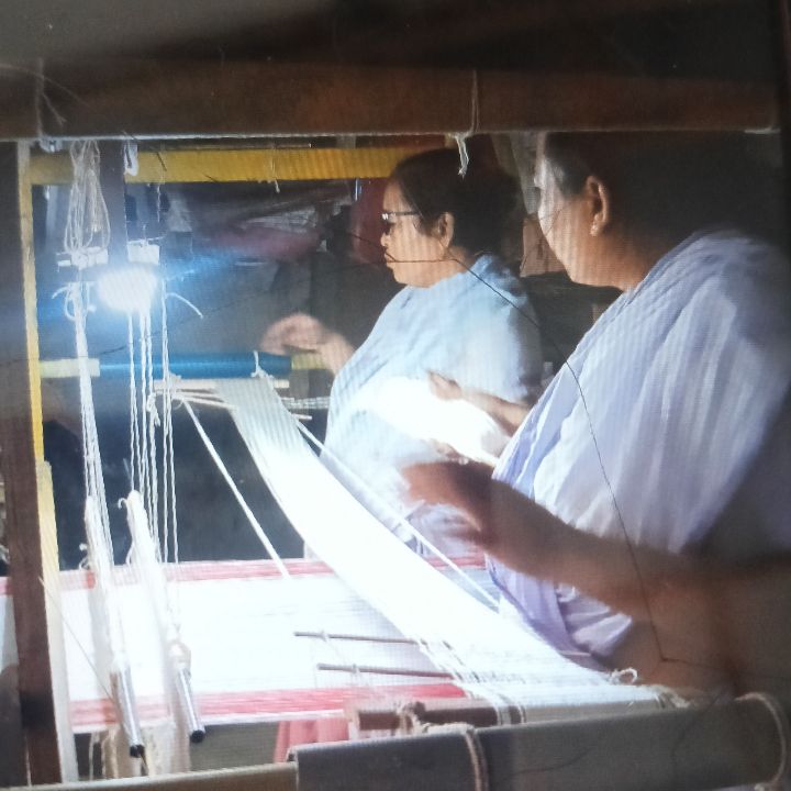 Handloom Weaver (Frame Loom) training at IIE Incubation Centre, Kakopothar, batch 35855, 19-11-2025