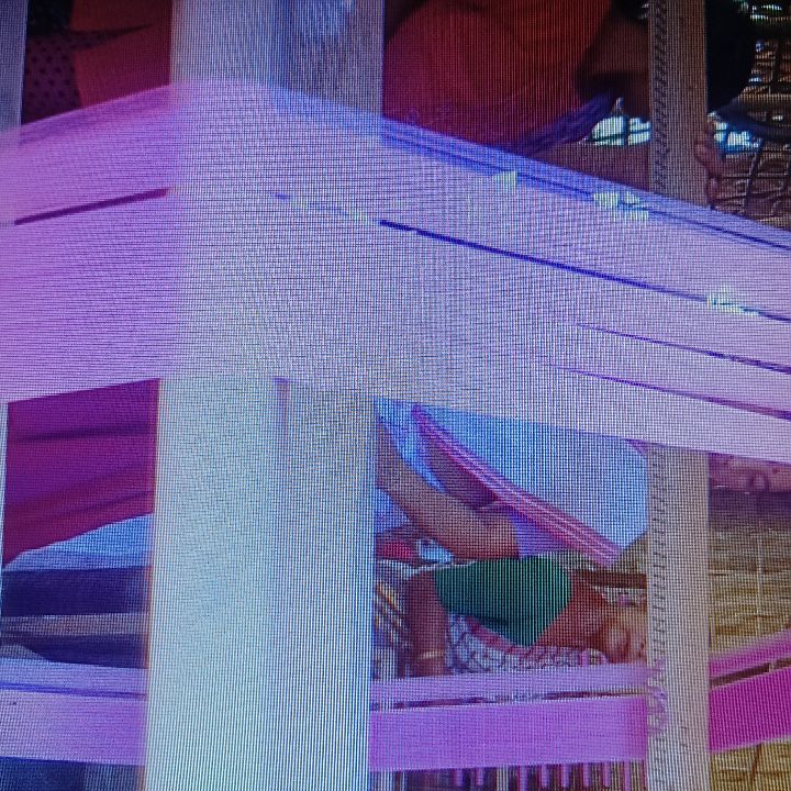Handloom Weaver (Frame Loom) training at IIE Incubation Centre, Kakopothar, batch 35855, 26-11-2025
