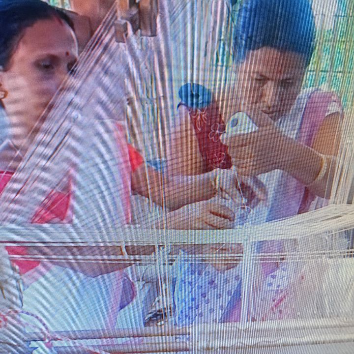 Handloom Weaver (Frame Loom) training at IIE Incubation Centre, Kakopothar, batch 35855, 28-11-2025