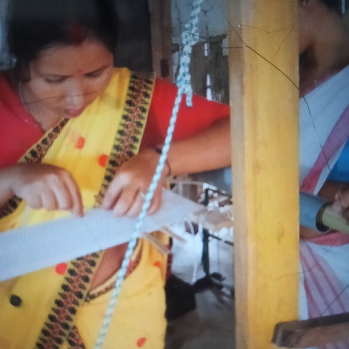 Handloom Weaver (Frame Loom) training at IIE Incubation Centre, Kakopothar, batch 37389, 12-11-2025