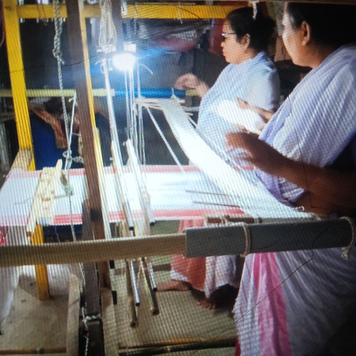 Handloom Weaver (Frame Loom) training at IIE Incubation Centre, Kakopothar, batch 37389, 13-11-2025