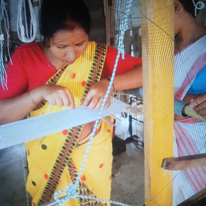 Handloom Weaver (Frame Loom) training at IIE Incubation Centre, Kakopothar, batch 37389, 15-11-2025