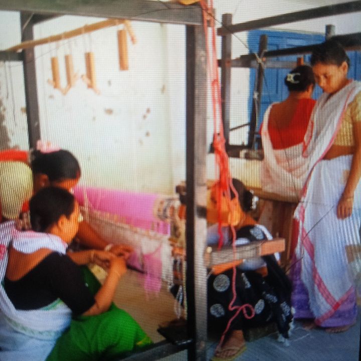 Handloom Weaver (Frame Loom) training at IIE Incubation Centre, Kakopothar, batch 37389, 17-11-2025