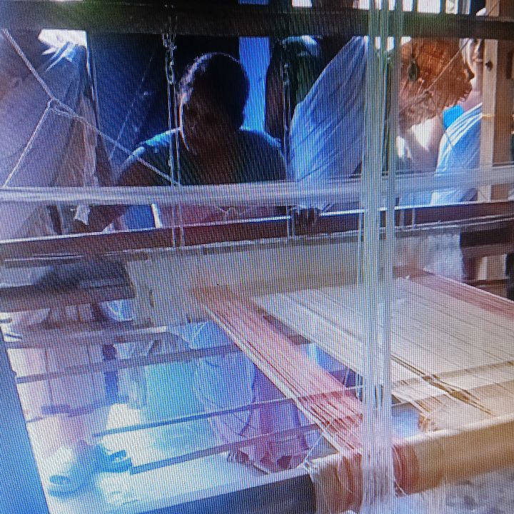 Handloom Weaver (Frame Loom) training at IIE Incubation Centre, Kakopothar, batch 37389, 26-11-2025