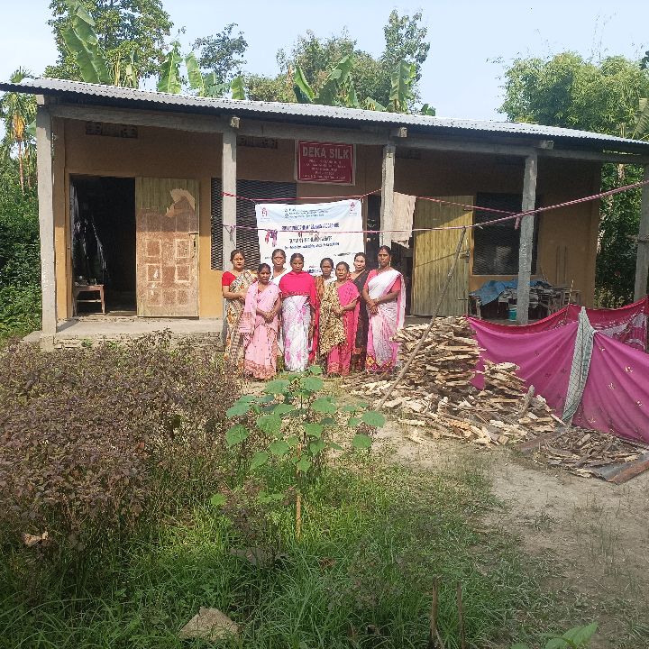 Handloom Weaver (Frame Loom) training at IIE Incubation Centre, Kalitakuchi, batch 38562, 30-11-2025