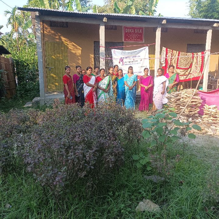 Handloom Weaver (Frame Loom) training at IIE Incubation Centre, Kalitakuchi, batch 38563, 30-11-2025