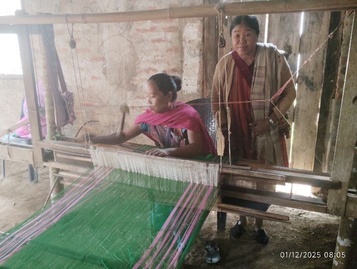 Handloom Weaver (Frame Loom) training at IIE Incubation Centre, Karbi Anglong, batch 37241, 01-12-2025