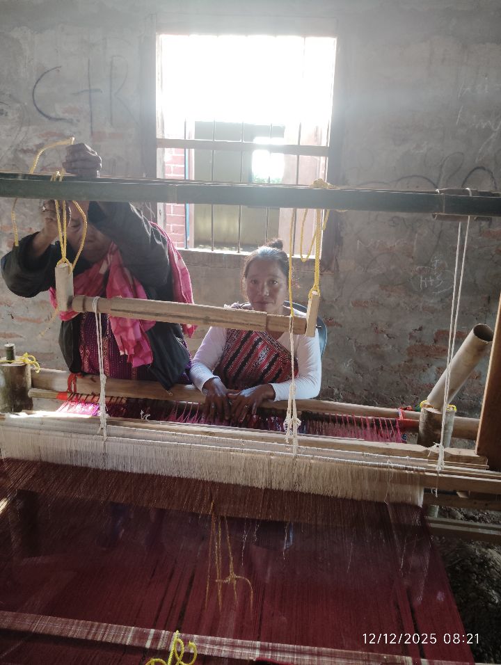 Handloom Weaver (Frame Loom) training at IIE Incubation Centre, Karbi Anglong, batch 37241, 12-12-2025