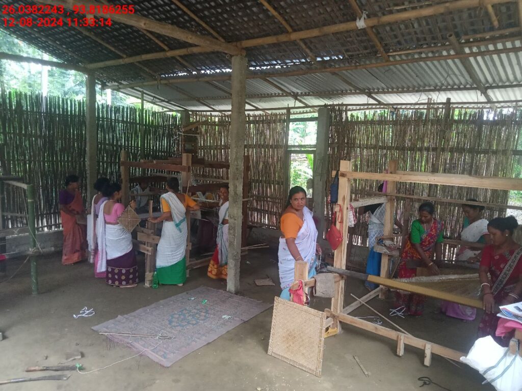 Handloom Weaver (Frame Loom) training at IIE Incubation Centre, Sarupathar, batch 23021, 12-08-2024