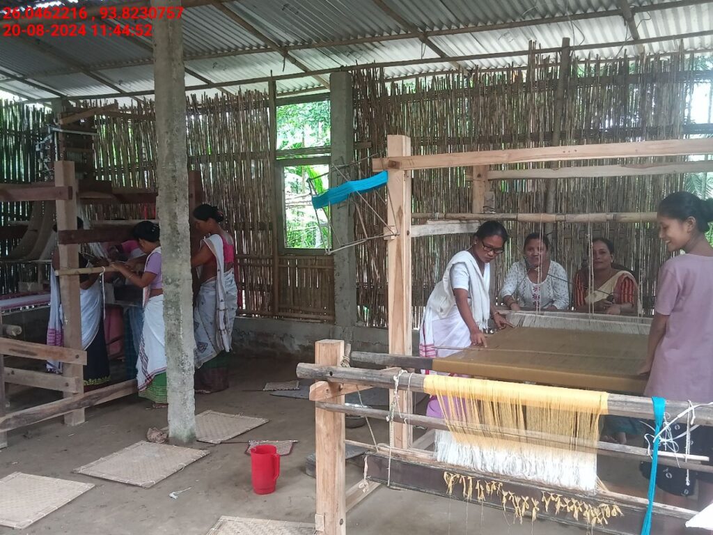 Handloom Weaver (Frame Loom) training at IIE Incubation Centre, Sarupathar, batch 23021, 20-08-2024