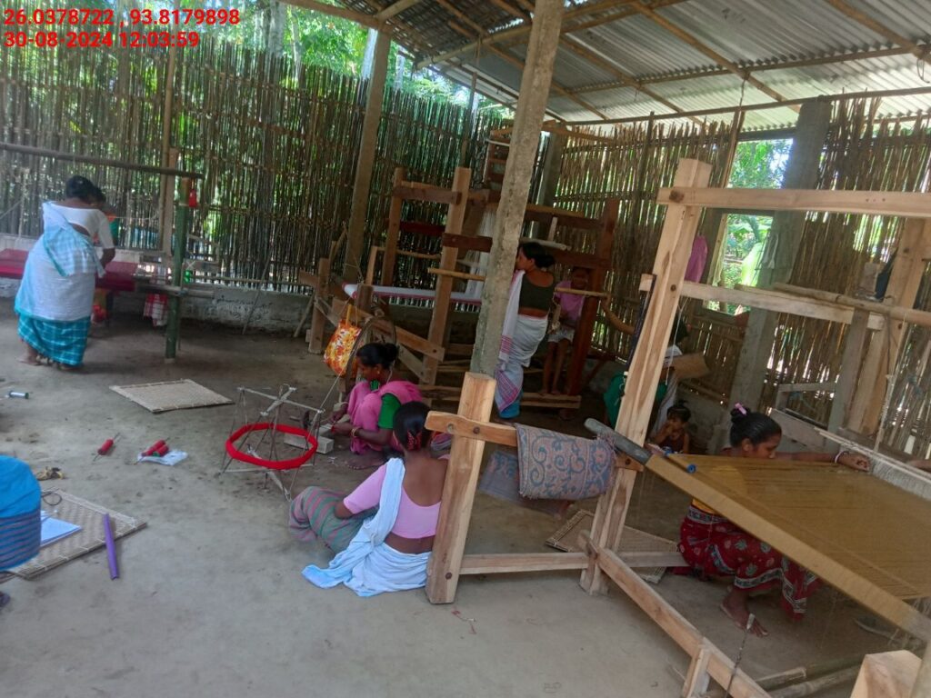 Handloom Weaver (Frame Loom) training at IIE Incubation Centre, Sarupathar, batch 23021, 30-08-2024