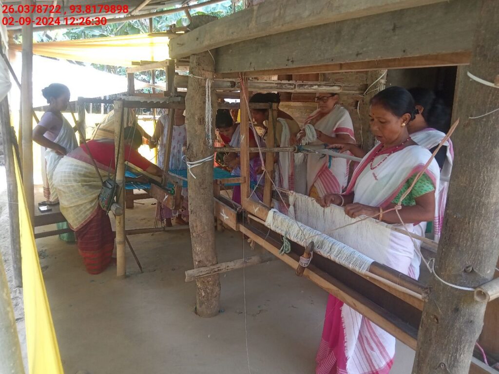 Handloom Weaver (Frame Loom) training at IIE Incubation Centre, Sarupathar, batch 23083, 02-09-2024