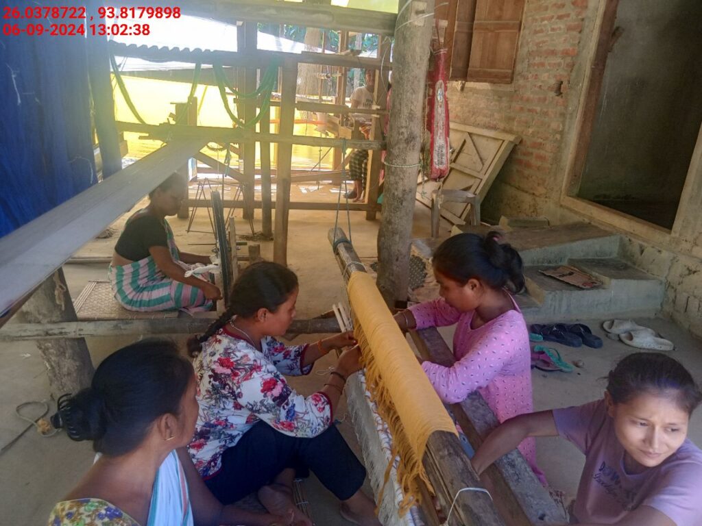 Handloom Weaver (Frame Loom) training at IIE Incubation Centre, Sarupathar, batch 23083, 06-09-2024