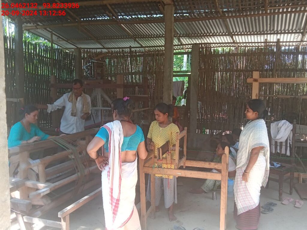 Handloom Weaver (Frame Loom) training at IIE Incubation Centre, Sarupathar, batch 23083, 20-09-2024
