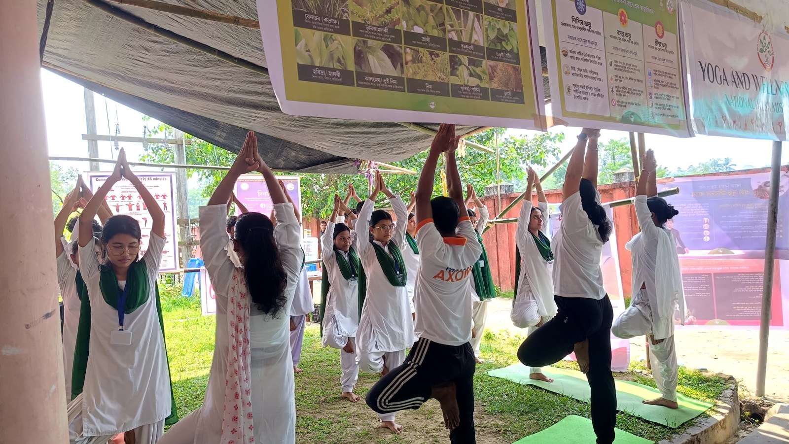 Trainees practising yoga asanas